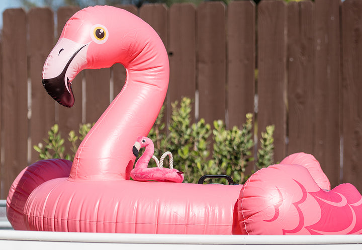 Tropical Paradise-Flamingo Float