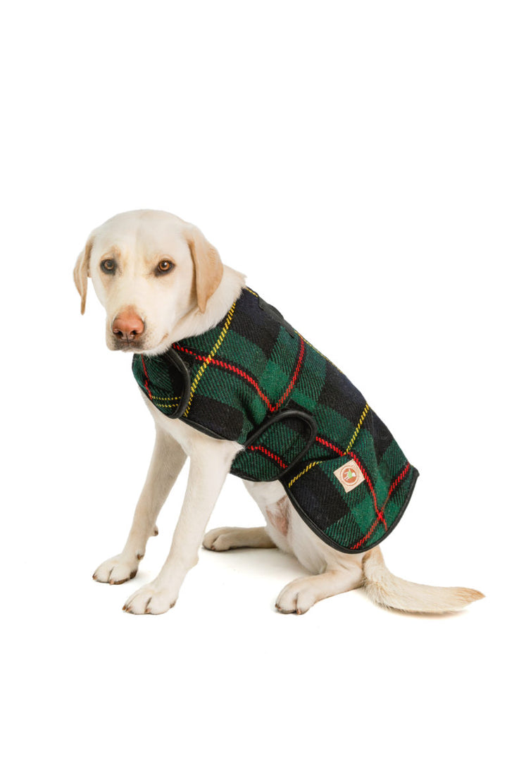Navy Tartan Dog Blanket Coat